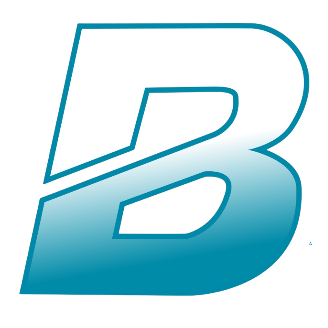 Logo The Bounce Mentor